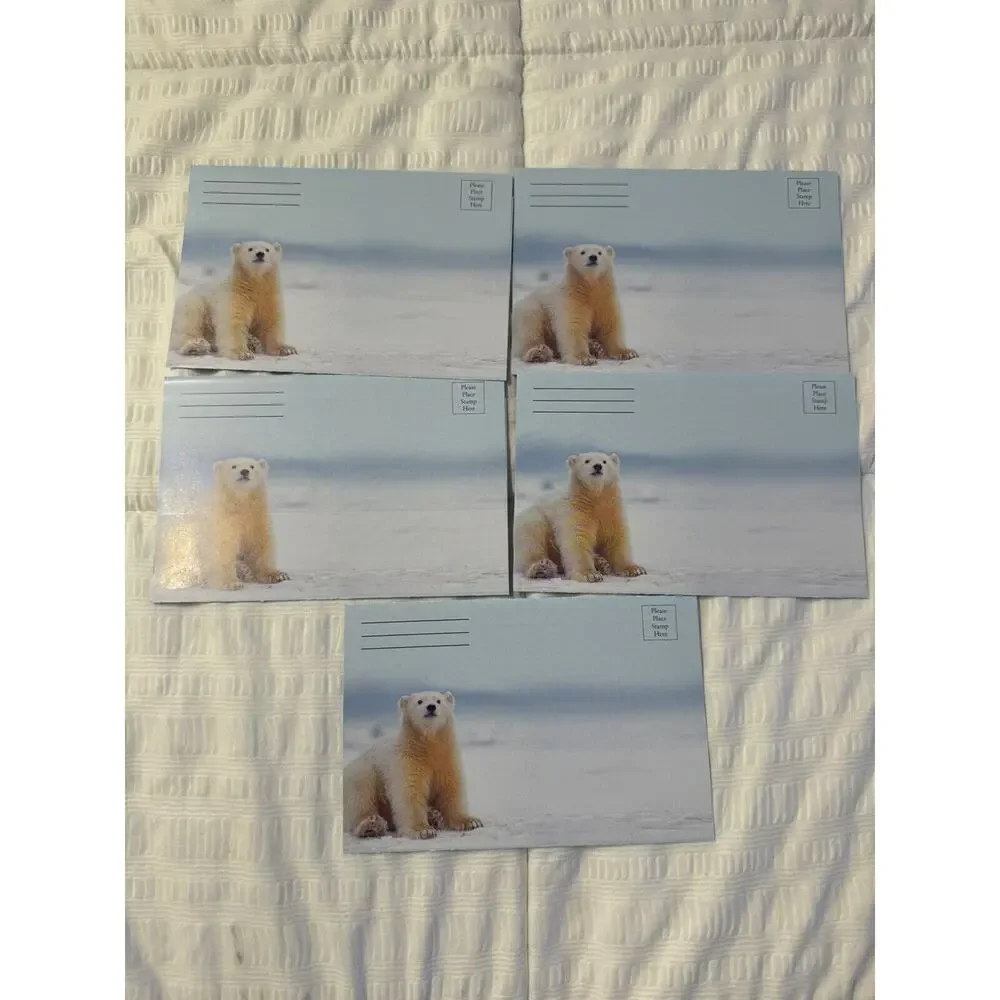 Lot of 5 Seasons Greetings Holiday Cards Polar Bear Winter Wildlife Blank